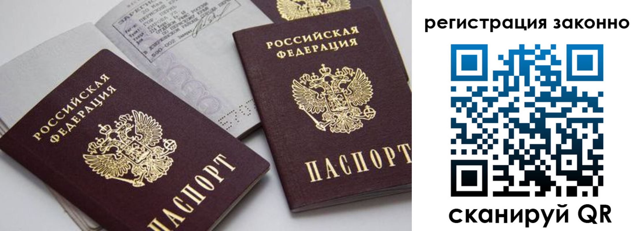 прописка штамп в Шилке